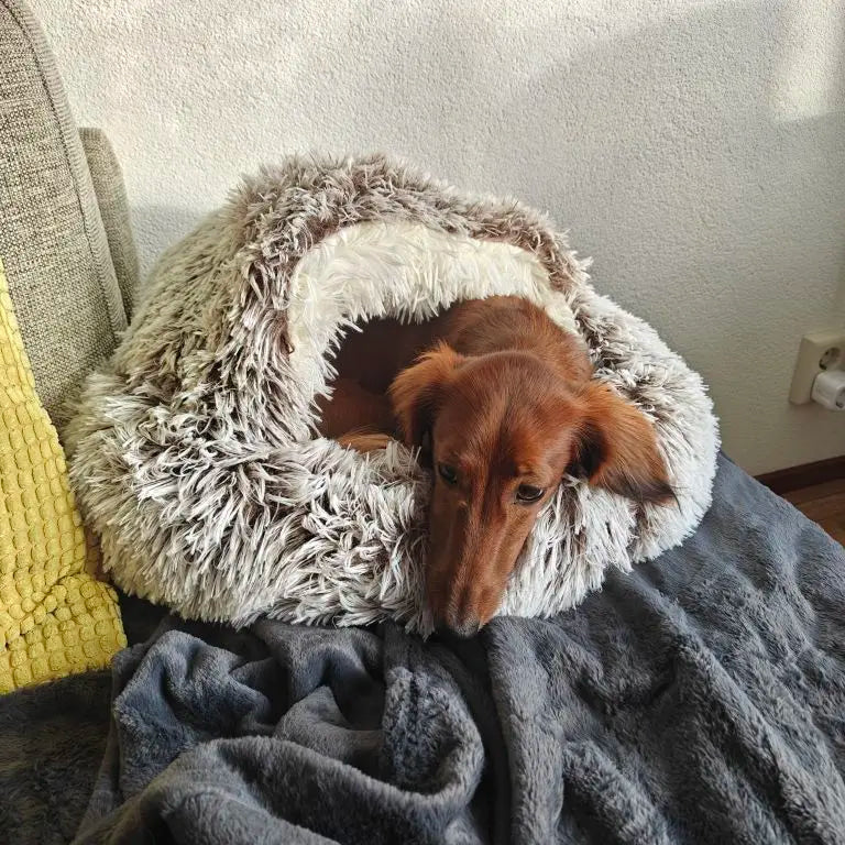 Dachshund Fluffy Cave Bed