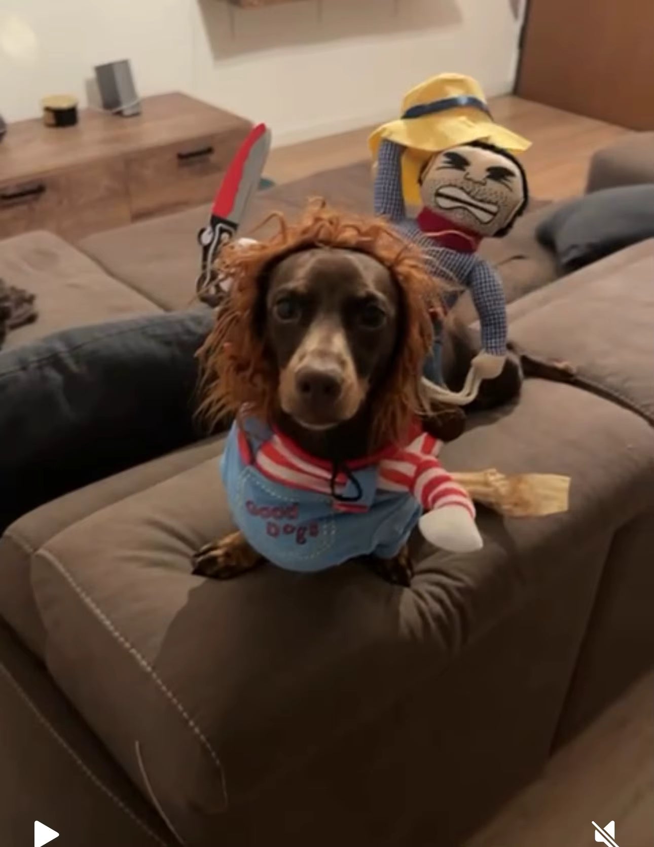 Dachshund Chucky Costume