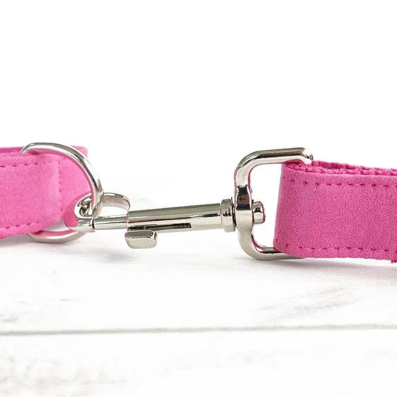 Bowtie Dog Collar and Leash Set The Doxie World
