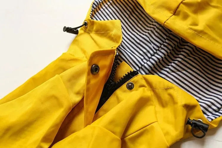 Fashion Dachshund Rain Jacket The Doxie World