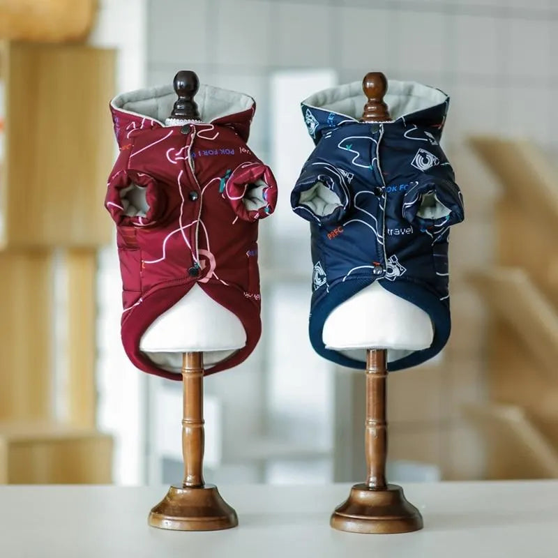 Graphic Dachshund Jacket The Doxie World