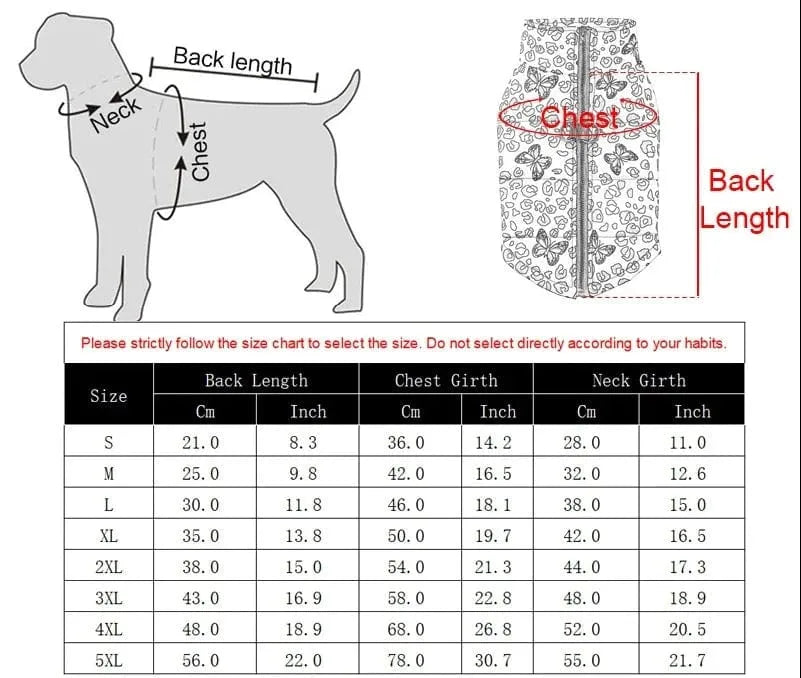 Pink Butterflies Dachshund Jacket The Doxie World