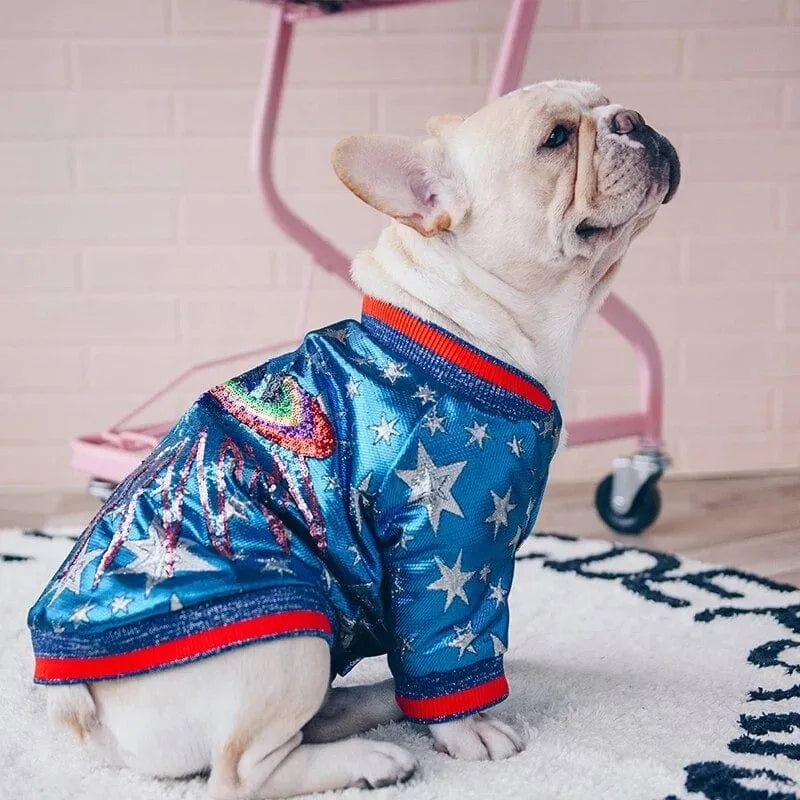 Planet Sequin Dachshund Jacket The Doxie World