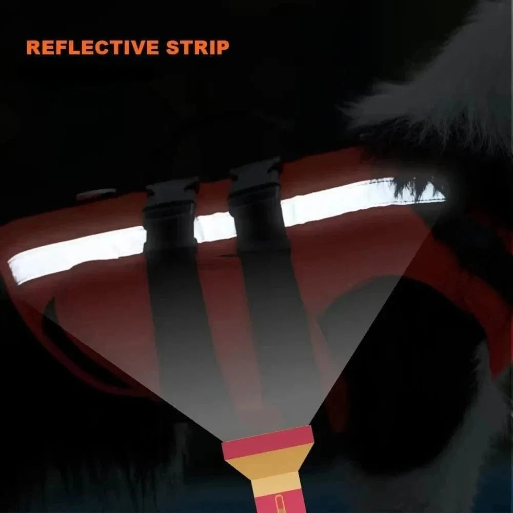 Premium Dachshund Life Jacket The Doxie World