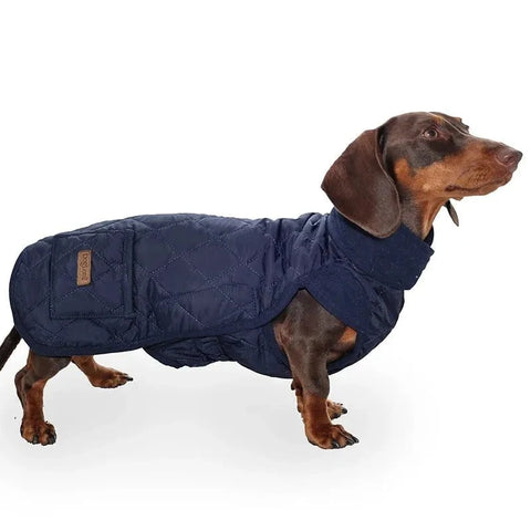 Quilted Wiener Dog Coat Blue / M The Doxie World