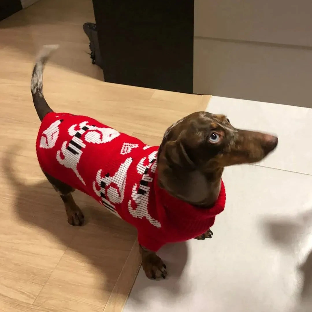 Reindeer Sweater for Sausage Dog The Doxie World