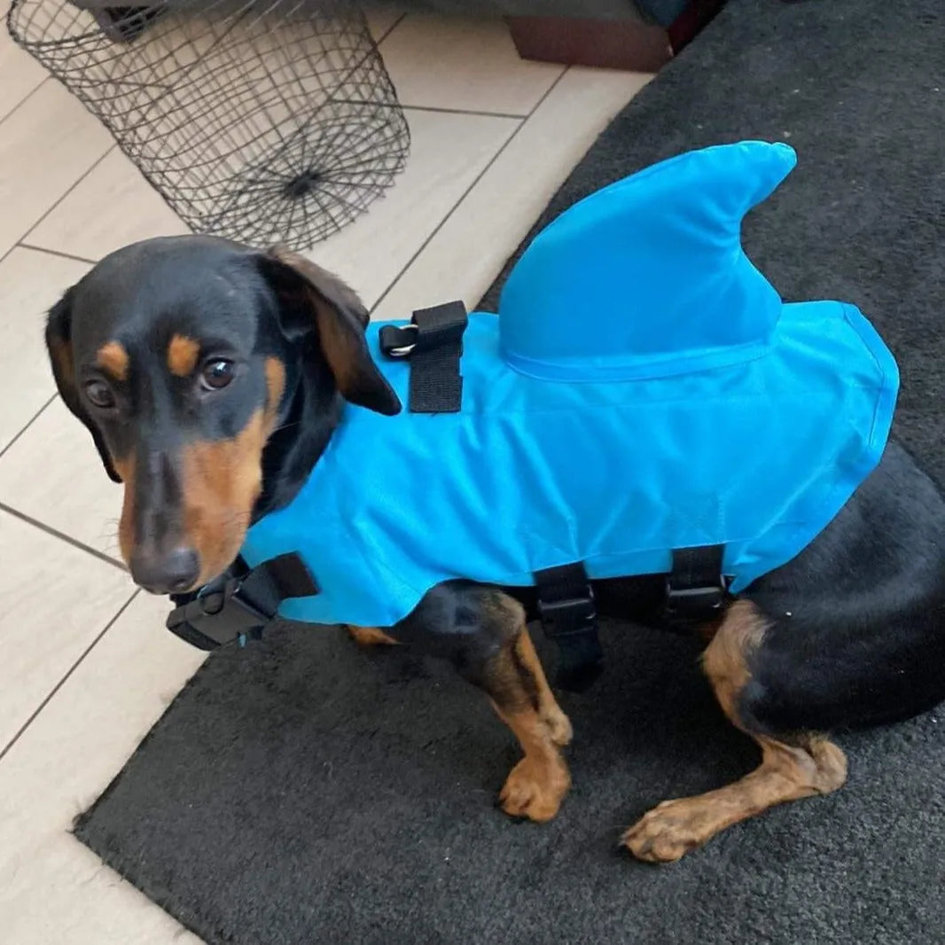 Shark Life Jacket For Dachshund The Doxie World