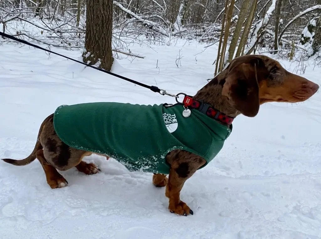 The Dog Face Dachshund Fleece Jacket The Doxie World