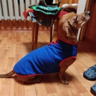 2-Color Fleece Dachshund Sweater Blue / XS The Doxie World