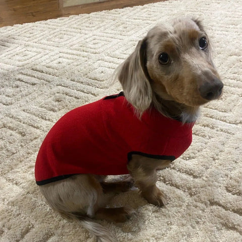 2-Color Fleece Dachshund Sweater The Doxie World