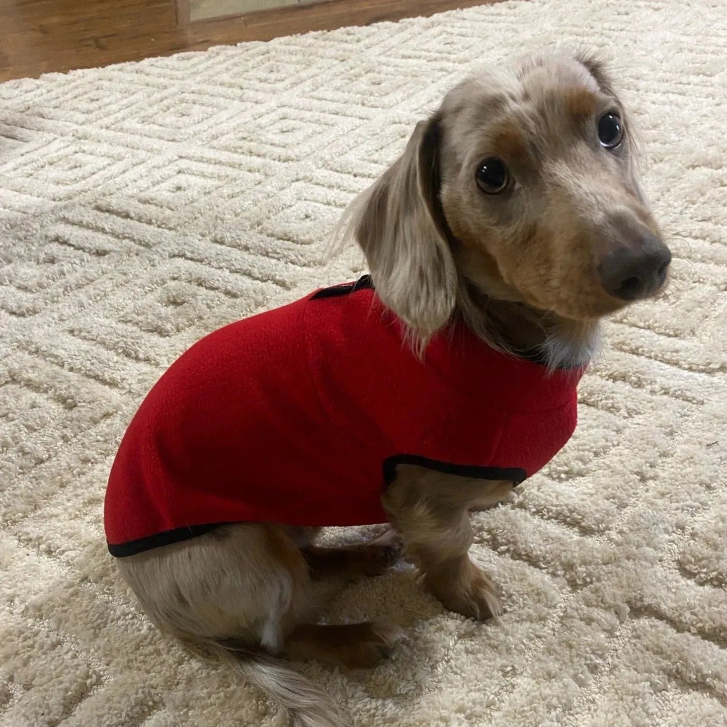 2-Color Fleece Dachshund Sweater The Doxie World