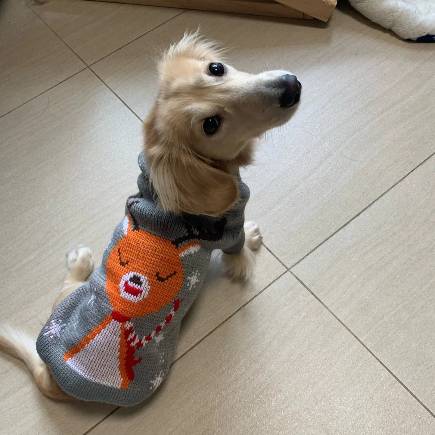 Reindeer Sweater for Sausage Dog