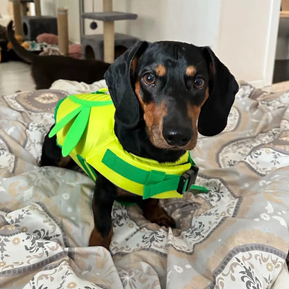 Dachshund Dragonfly Life Jacket