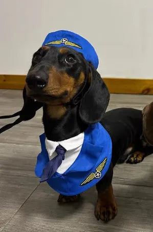Dachshund Dog Pilot Costume