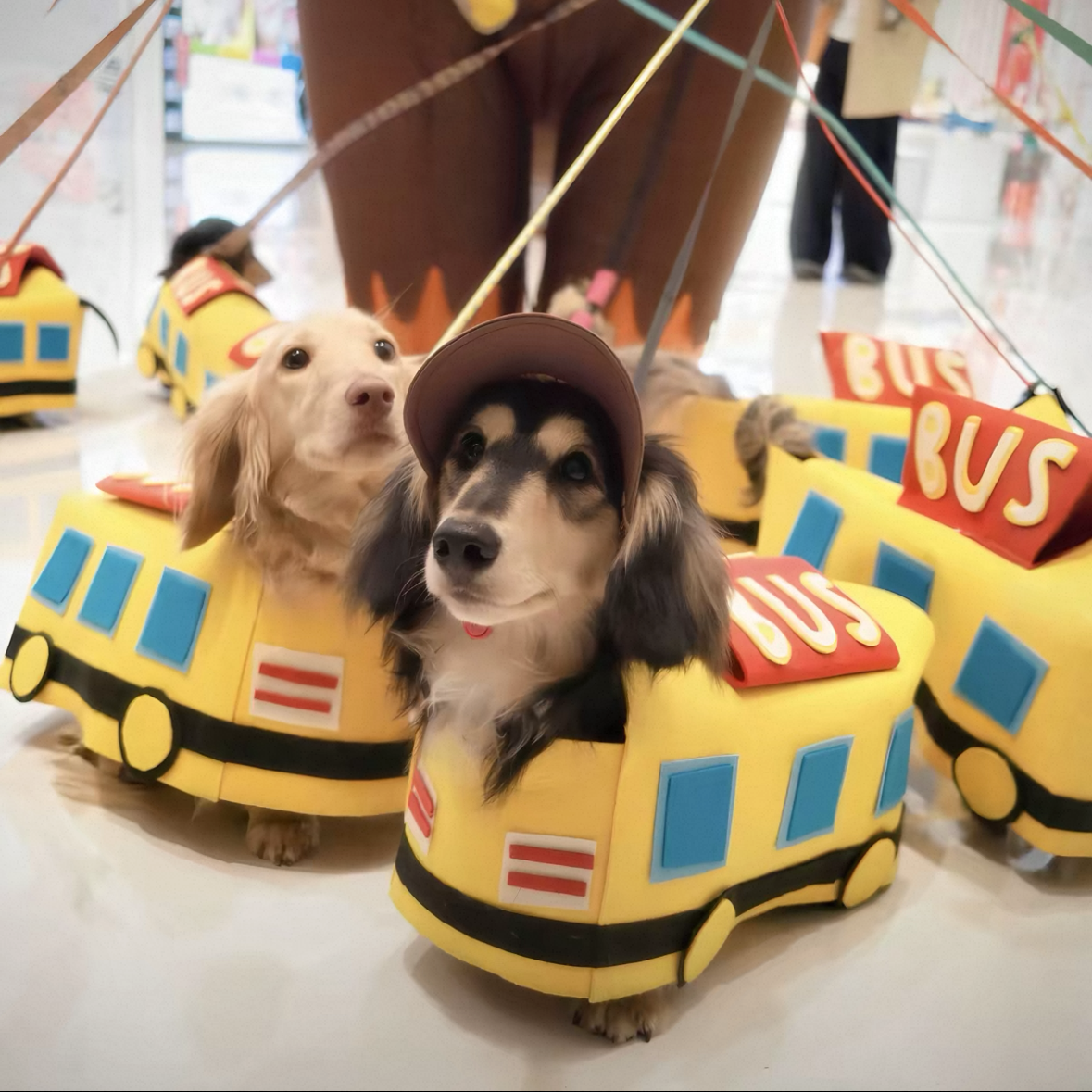 Dachshund Dog Bus Costume