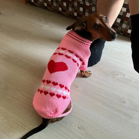 Pink Sweater for Wiener Dogs