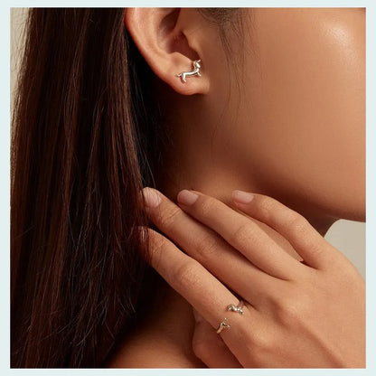 925 Sterling Silver Dachshund Earrings And Ring Set The Doxie World