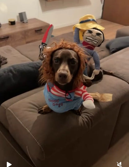 Dachshund Chucky Costume