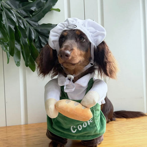 Dachshund Dog Chef Costume