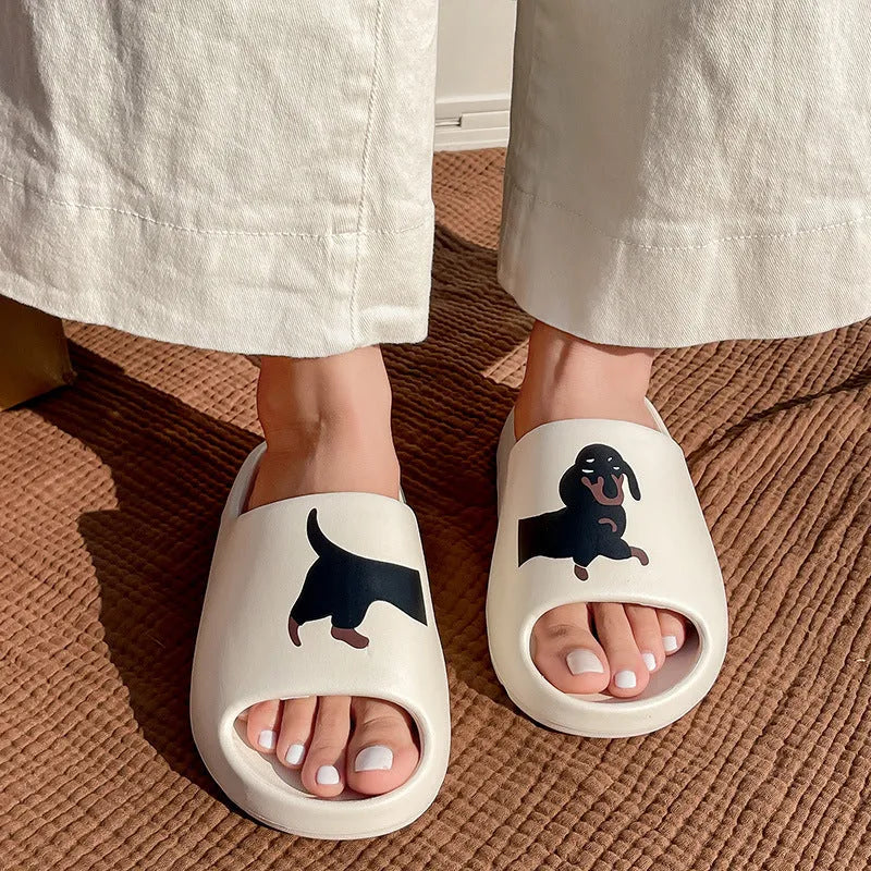 Dachshund Slides