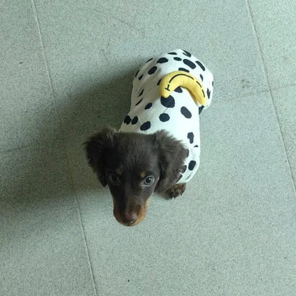 Dachshund Pajamas For Dogs