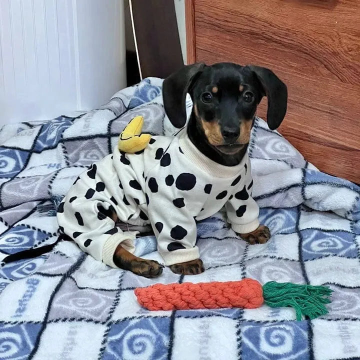 Dachshund Pajamas For Dogs