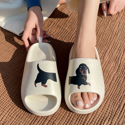 Dachshund Slides