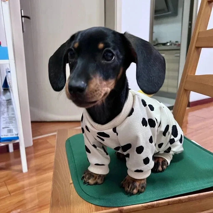Dachshund Pajamas For Dogs
