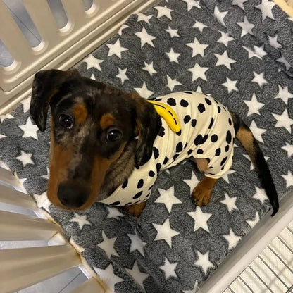 Dachshund Pajamas For Dogs