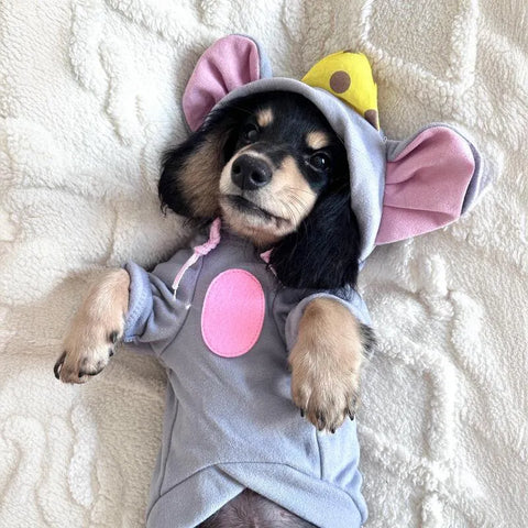 Dachshund Mouse Costume