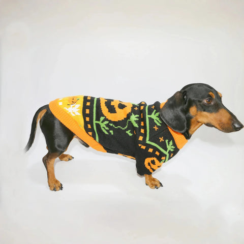 Dachshund Halloween Sweater