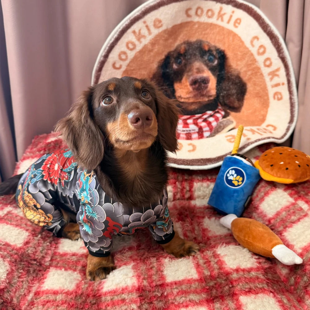 Tattoo Dachshund Onesie