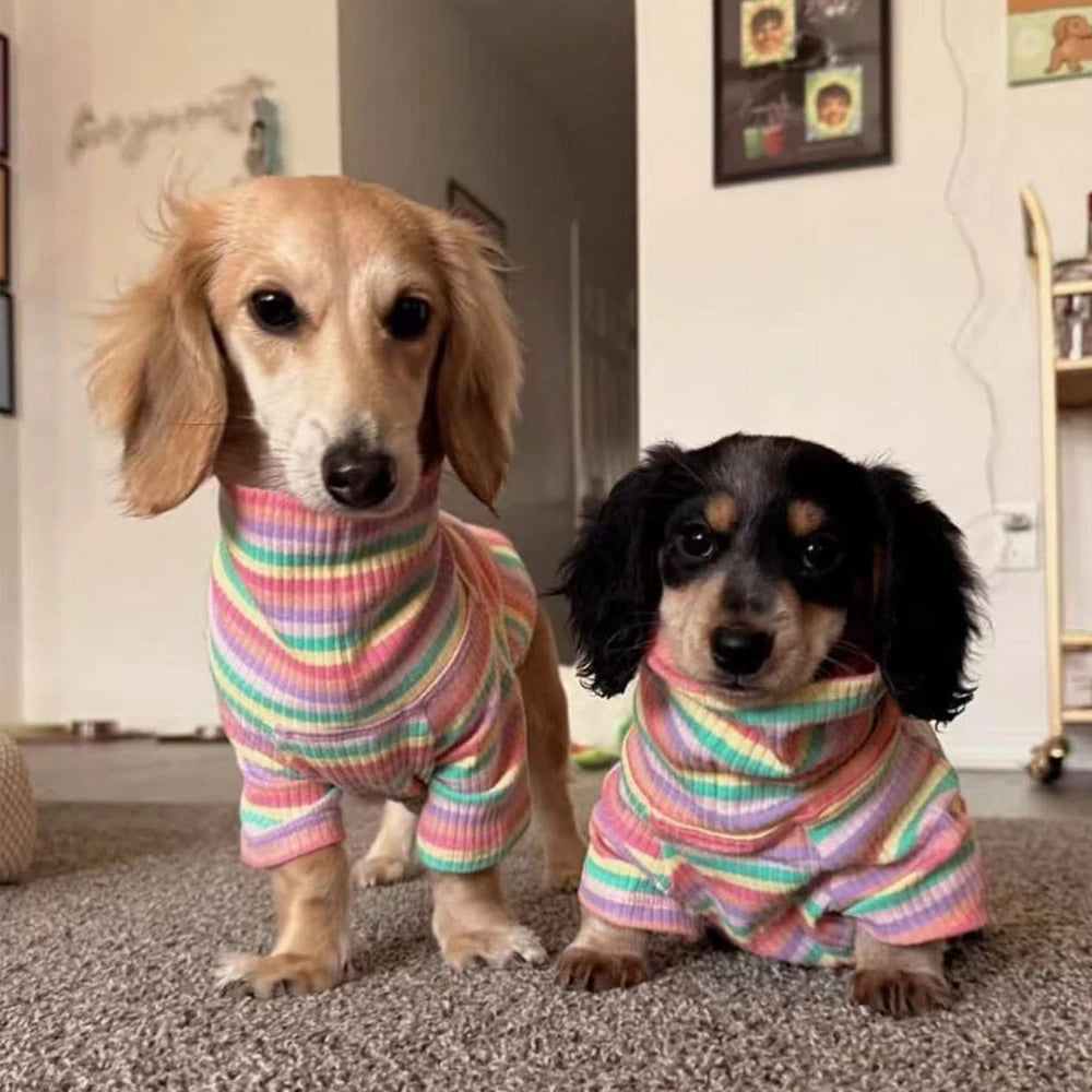 Suéter de cuello alto con diseño de perro salchicha arcoíris
