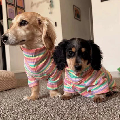 Suéter de cuello alto con diseño de perro salchicha arcoíris