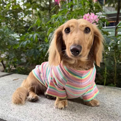 Suéter de cuello alto con diseño de perro salchicha arcoíris