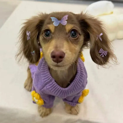 Wiener Dog Purple Sweater