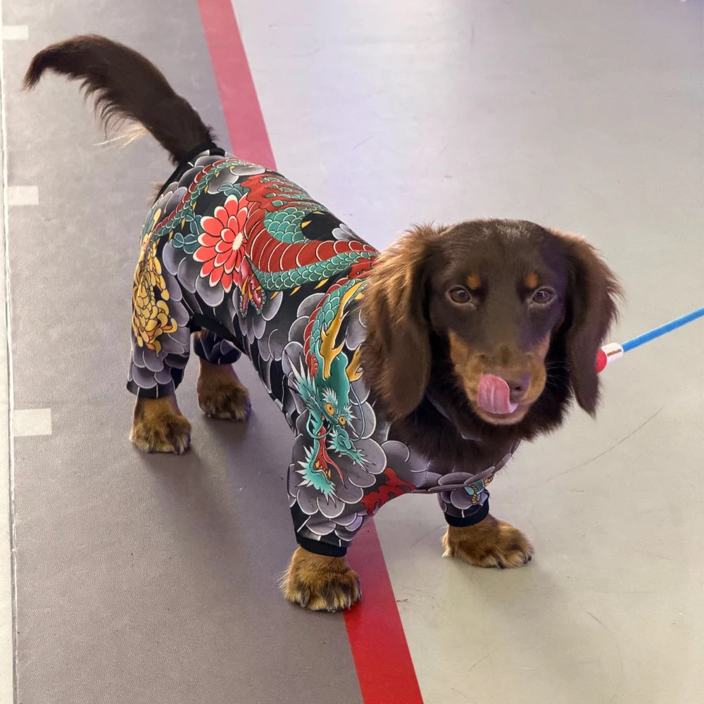Tattoo Dachshund Onesie
