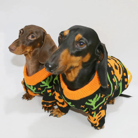 Dachshund Halloween Sweater