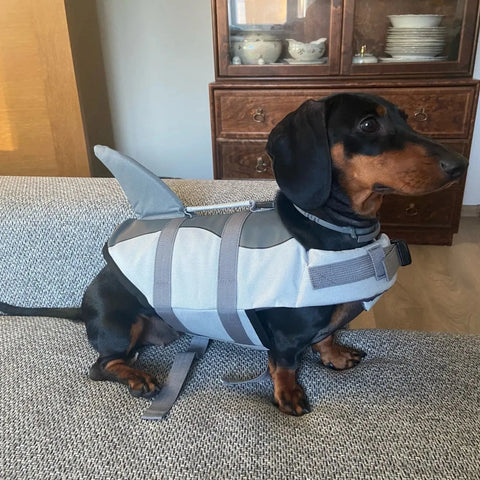 Wiener Dog Shark Life Jacket