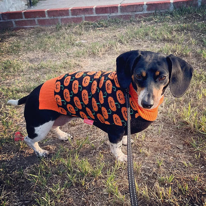 Pumpkins Wiener Dog Sweater