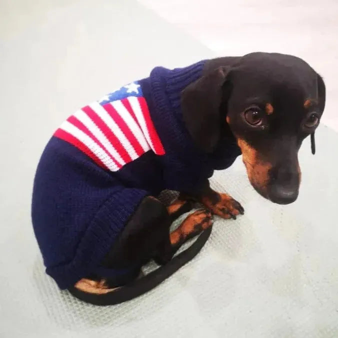 American Flag Weenie Dog Sweater American Flag / 6 The Doxie World