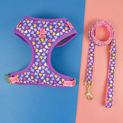 Avocado Dachshund Harness Set Purple Hearts / S The Doxie World