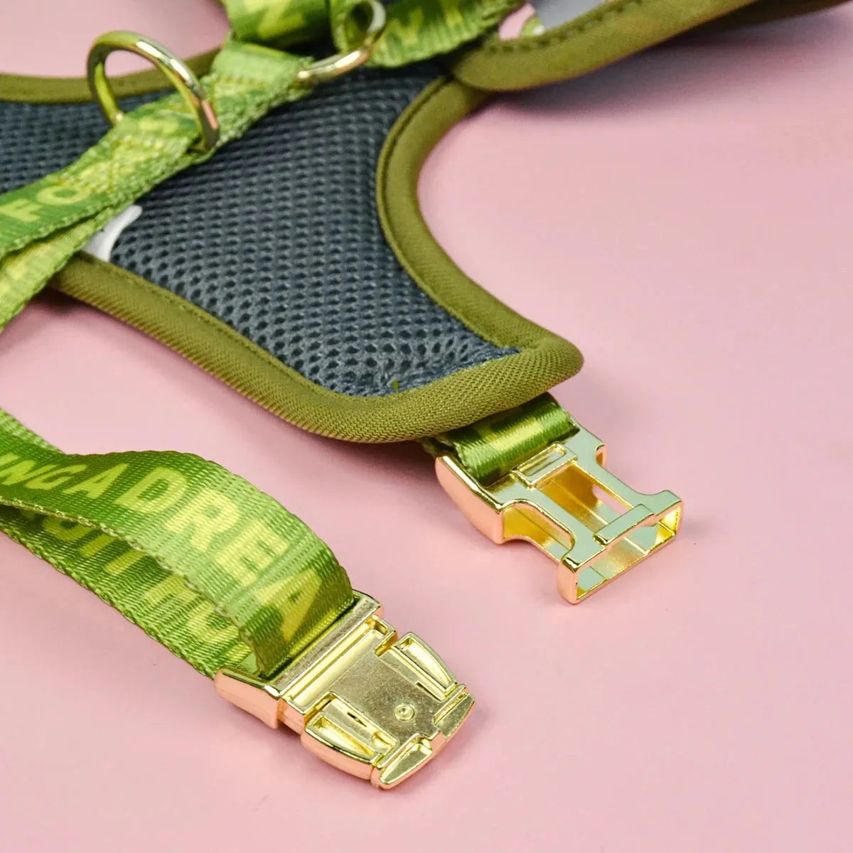 Avocado Dachshund Harness Set The Doxie World