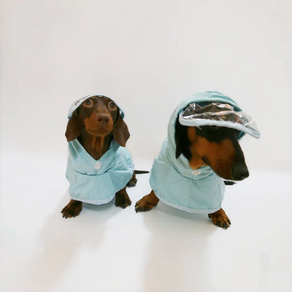 Blue Rain Dachshund Overall The Doxie World