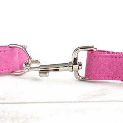 Bowtie Dog Collar and Leash Set The Doxie World