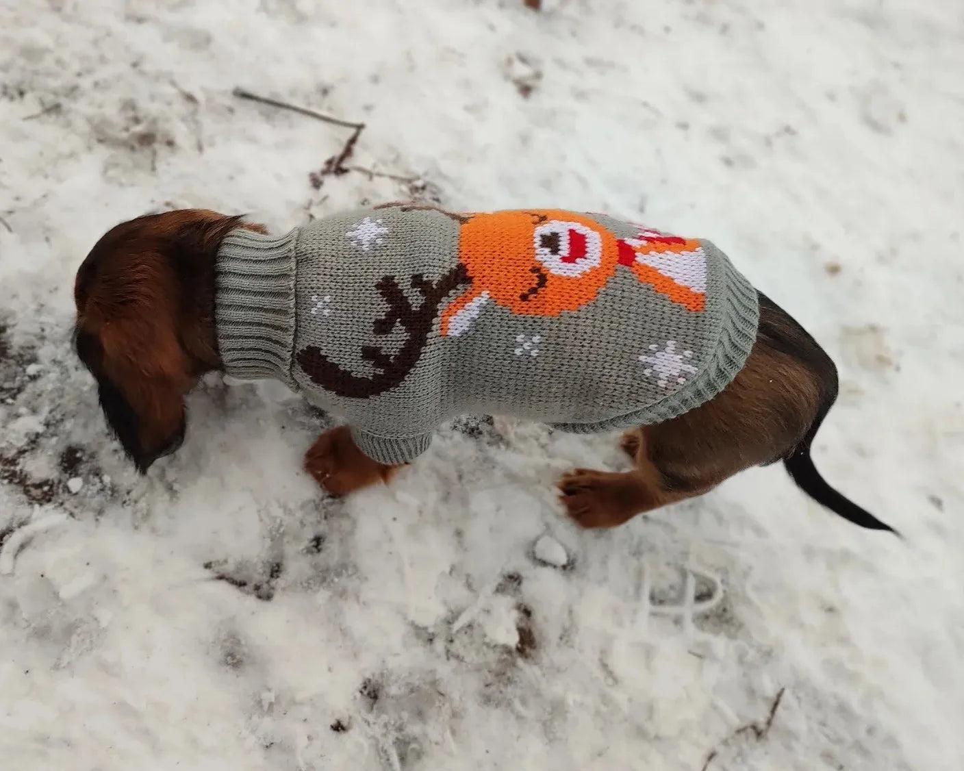 Reindeer Sweater for Sausage Dog