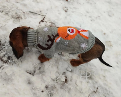 Reindeer Sweater for Sausage Dog