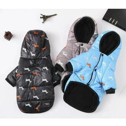 Charlie Dachshund Winter Coat The Doxie World