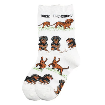 Charming Dachshund Socks White dachshund The Doxie World