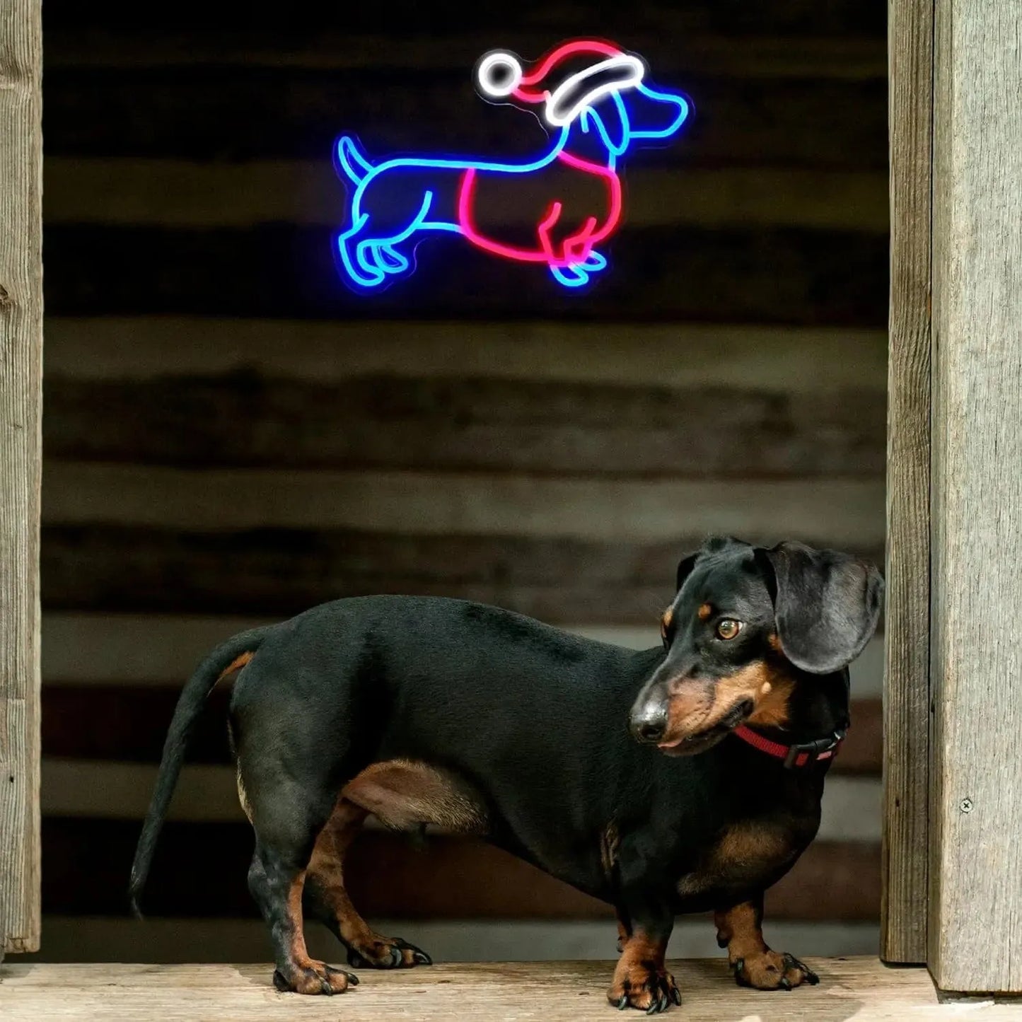 Christmas Dachshund Neon Sign The Doxie World